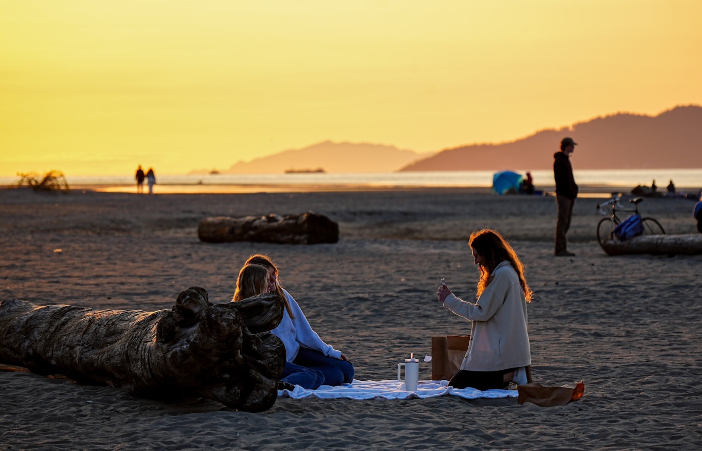 Friends enjoying a summer picnic at sunset