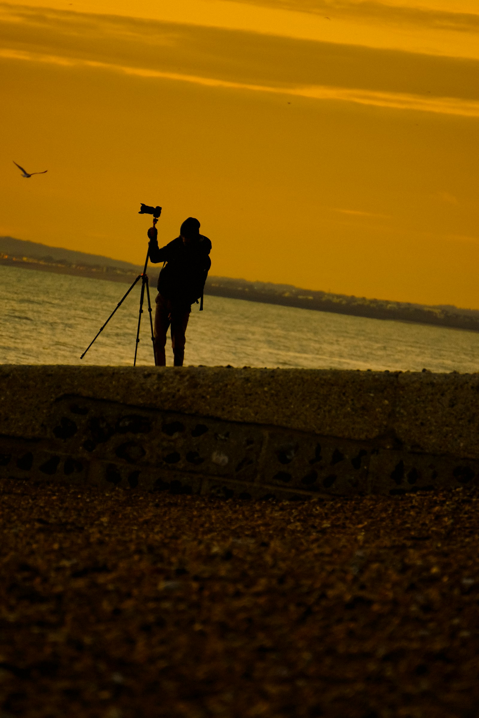 Photographer with tripod silhouetted against a colorful sunset sky.