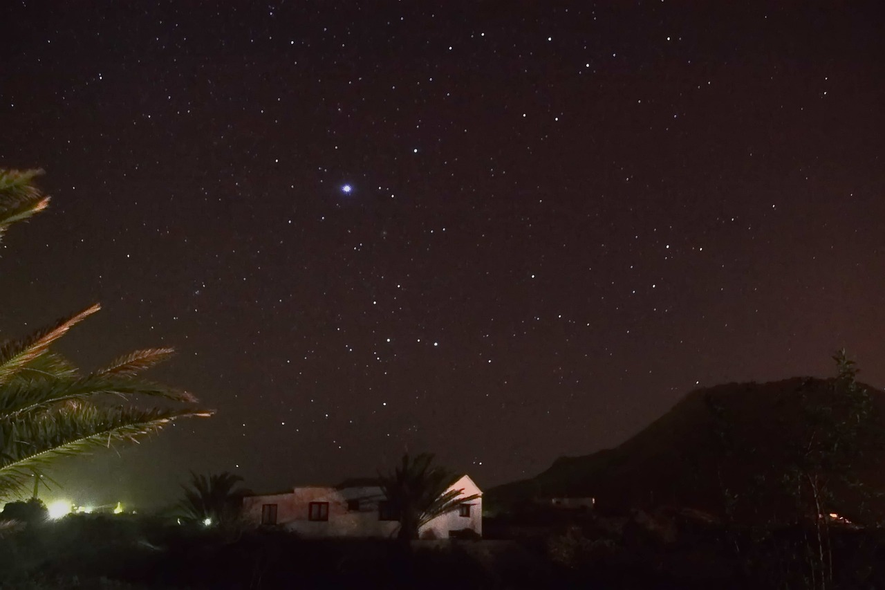 Palm trees and a small house beneath a starry night sky