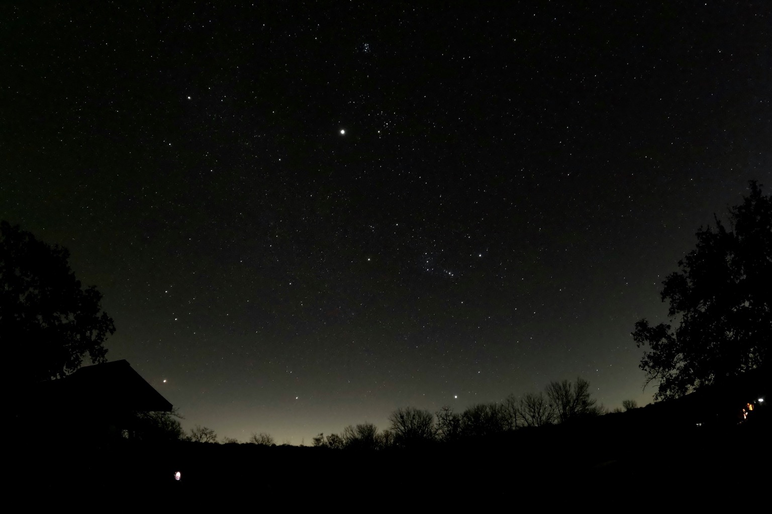 Starry sky over Enchanted Rock trees