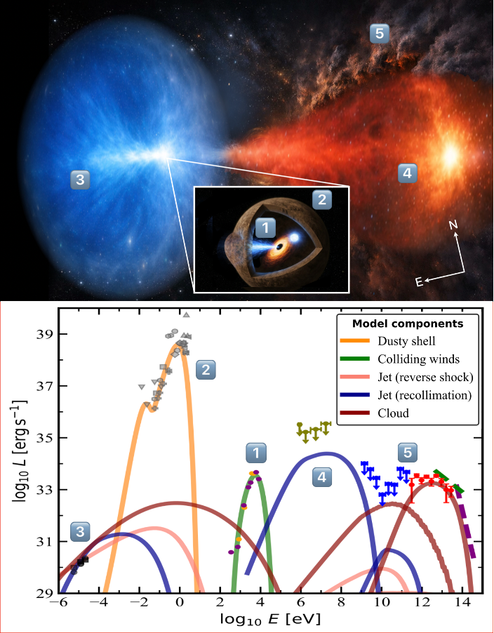 Model of the binary, two jets, and molecular-cloud interaction