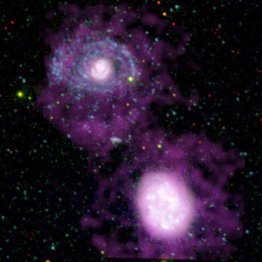 NASA illustration of companion galaxies surrounded by extended cool-hydrogen halos.